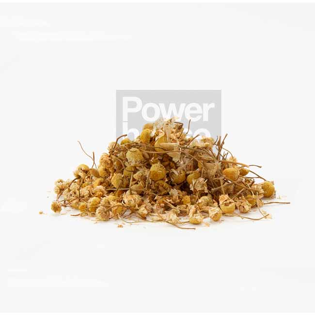 Egyptian Chamomile