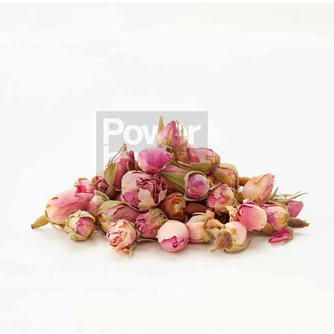 Rose Buds