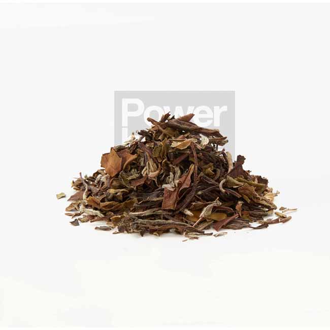 Darjeeling White